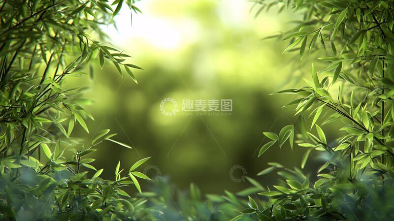 高清大图下载【趣麦麦图】绿色环保竹林壁纸2