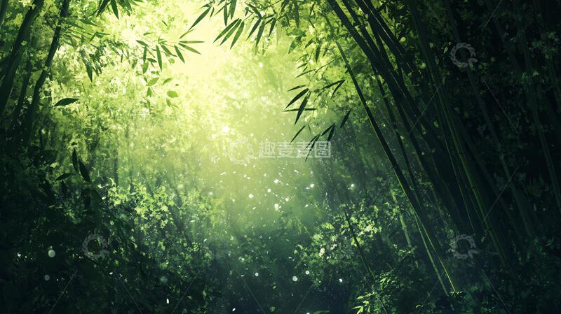 高清大图下载【趣麦麦图】唯美竹影竹韵1