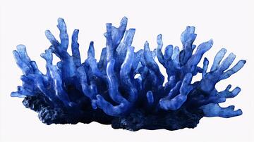 人工珊瑚珊瑚人工蓝色