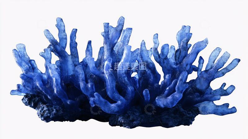 高清大图下载【趣麦麦图】人工珊瑚珊瑚人工蓝色