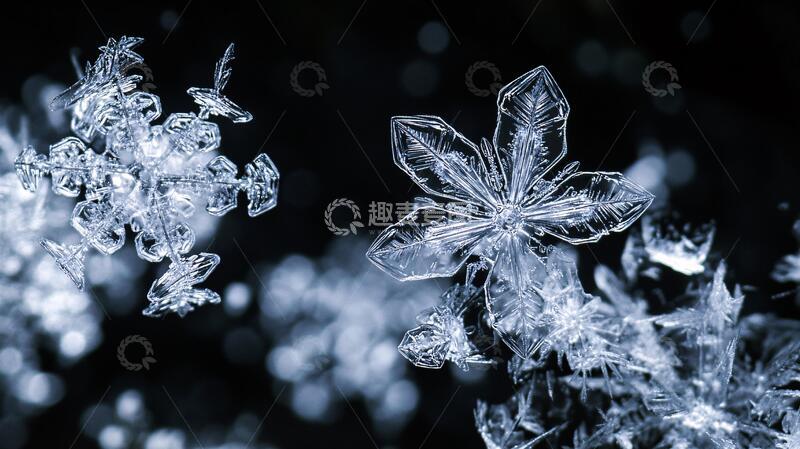 高清大图下载【趣麦麦图】梦幻冰花冰花梦幻霜花