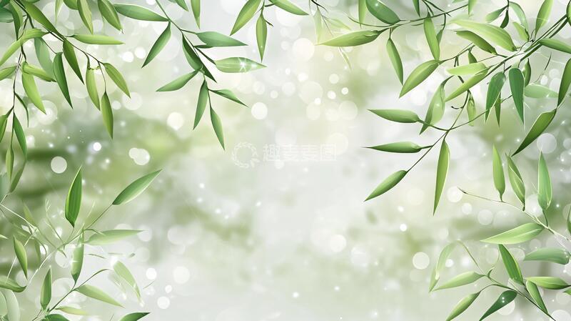 高清大图下载【趣麦麦图】唯美竹叶背景12