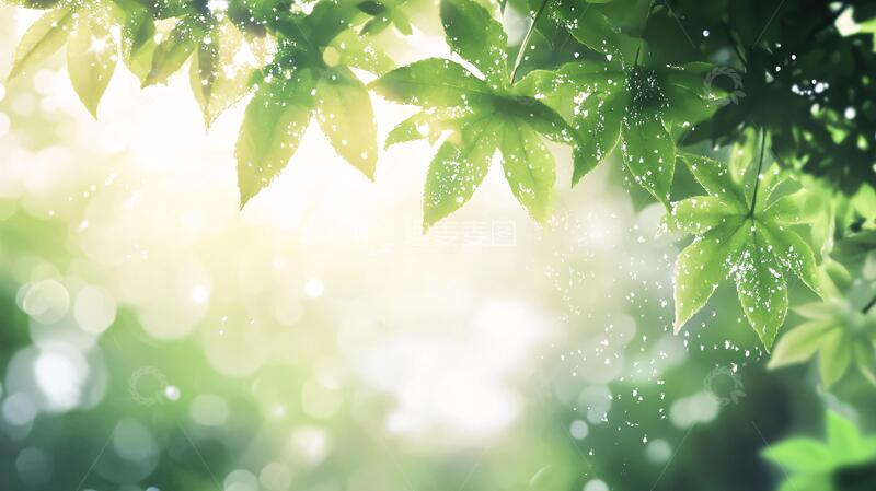 高清大图下载【趣麦麦图】护眼桌面壁纸6