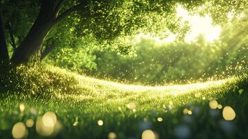 梦幻草丛梦幻森林草丛