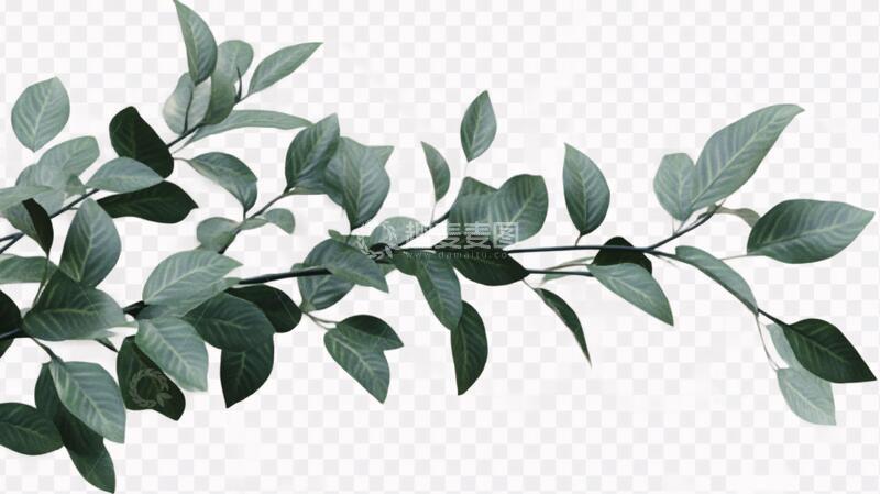 高清大图下载【趣麦麦图】树枝叶素材素材树叶树枝