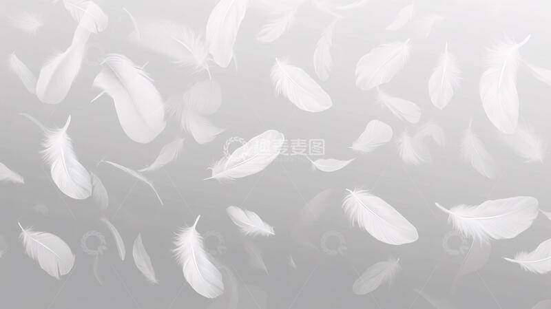 高清大图下载【趣麦麦图】洁白花瓣花瓣白色洁白