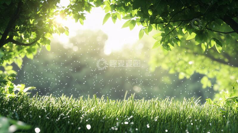 高清大图下载【趣麦麦图】阳光草地阳光绿叶1