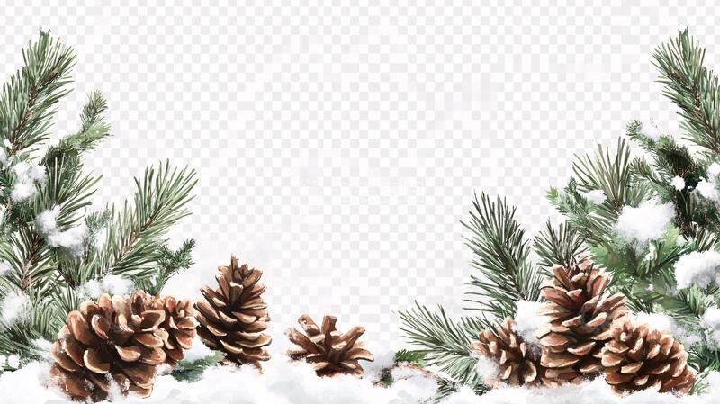 高清大图下载【趣麦麦图】松枝松果素材1