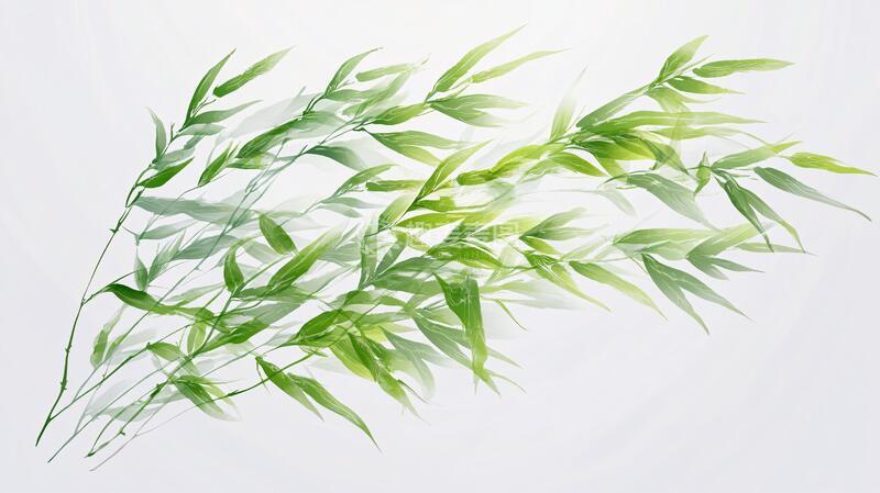 高清大图下载【趣麦麦图】手绘淡竹叶装饰竹枝手绘