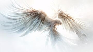 翅膀光线光辉历程1