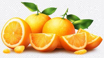 冰糖橙插画插画脐橙冰糖