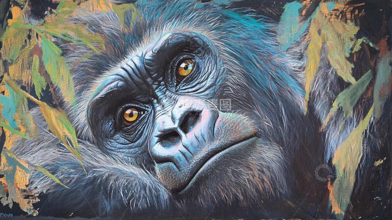 高清大图下载【趣麦麦图】猩猩插画图案印花
