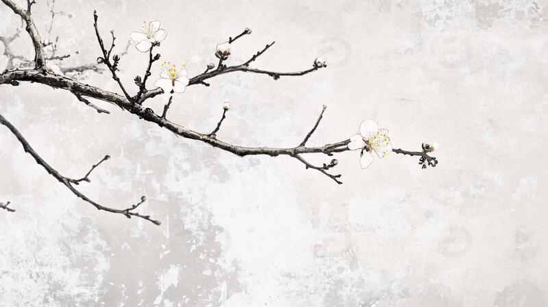 复古梅花壁画手绘水彩