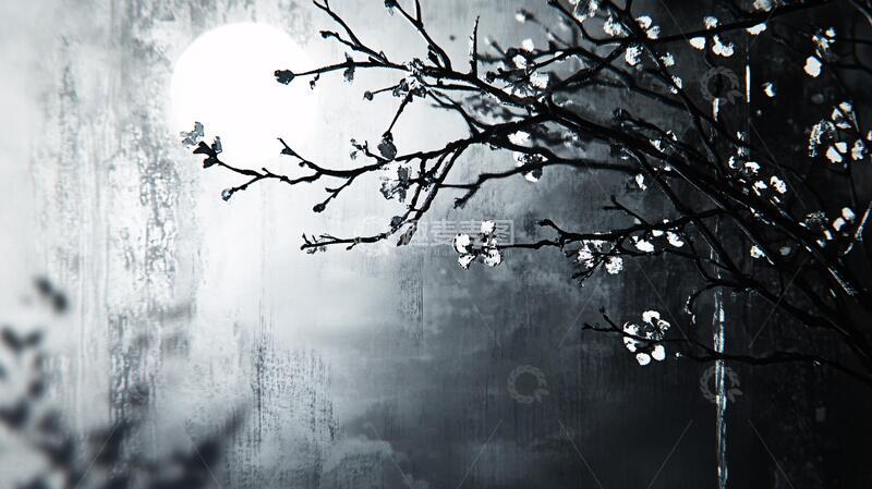 高清大图下载【趣麦麦图】月夜梅花月夜寒梅月影