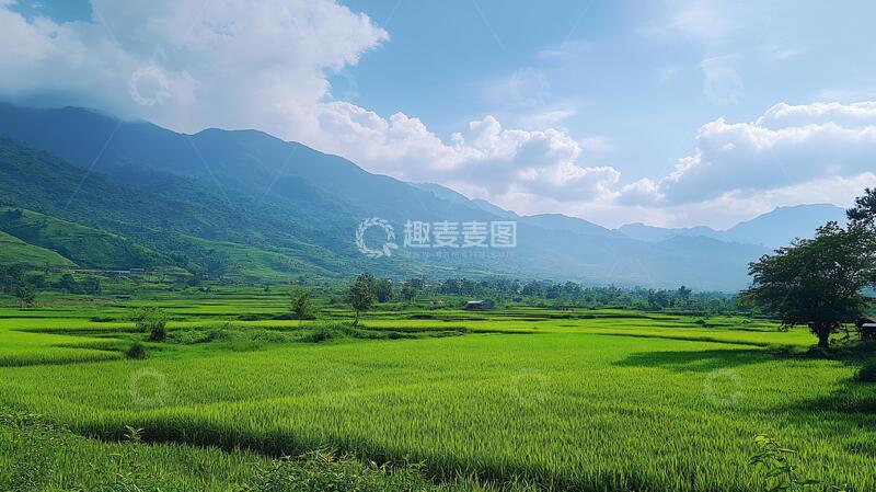 高清大图下载【趣麦麦图】花东纵谷稻田美景稻香