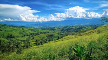 全景稻田梯田全景稻田