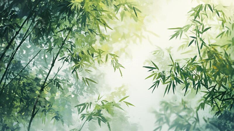 高清大图下载【趣麦麦图】唯美竹影竹韵44