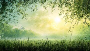 梦幻竹林梦幻月影竹韵