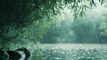 竹林雨景雨景风景美景