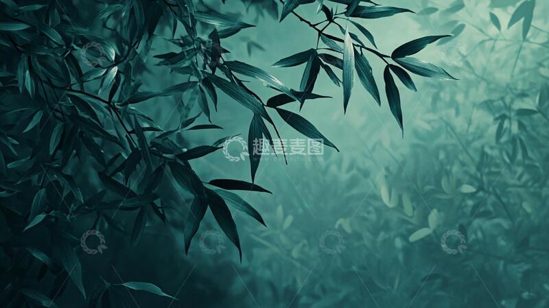 高清大图下载【趣麦麦图】唯美竹叶背景68