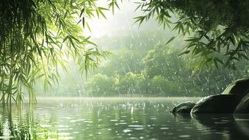 竹林雨景雨景美景意境