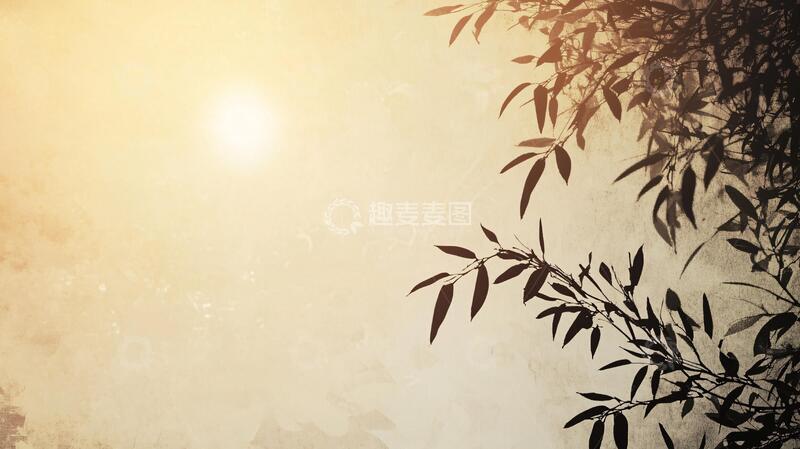 高清大图下载【趣麦麦图】晨光中的竹枝