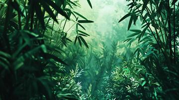 梦幻竹林背景梦幻古风