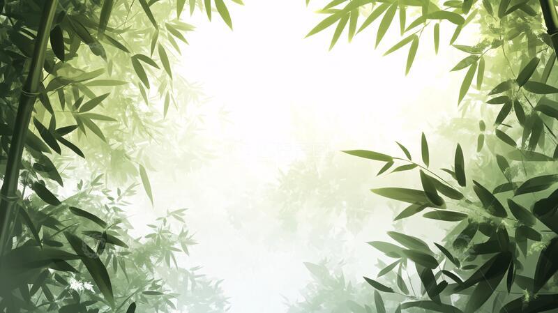 高清大图下载【趣麦麦图】唯美竹影竹韵36