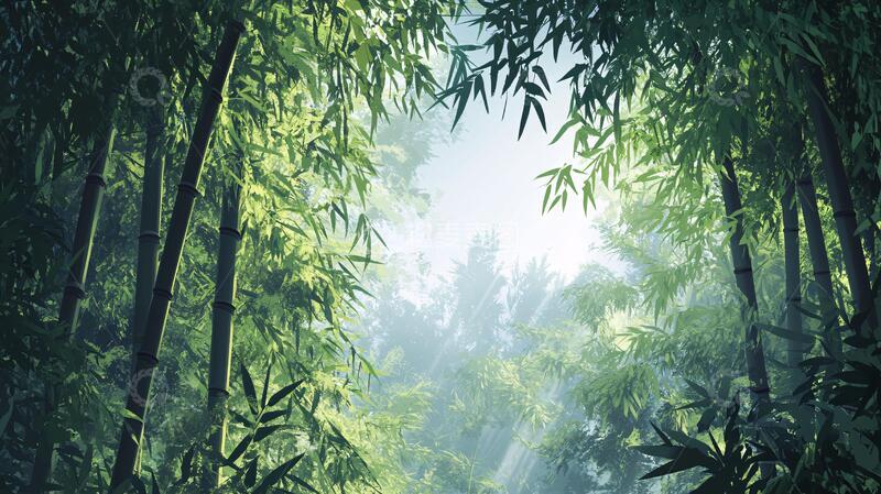高清大图下载【趣麦麦图】光影竹林背景