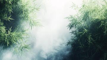 云雾绿竹云雾迷雾水墨