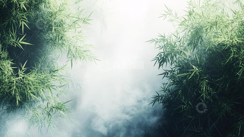 高清大图下载【趣麦麦图】云雾绿竹云雾迷雾水墨