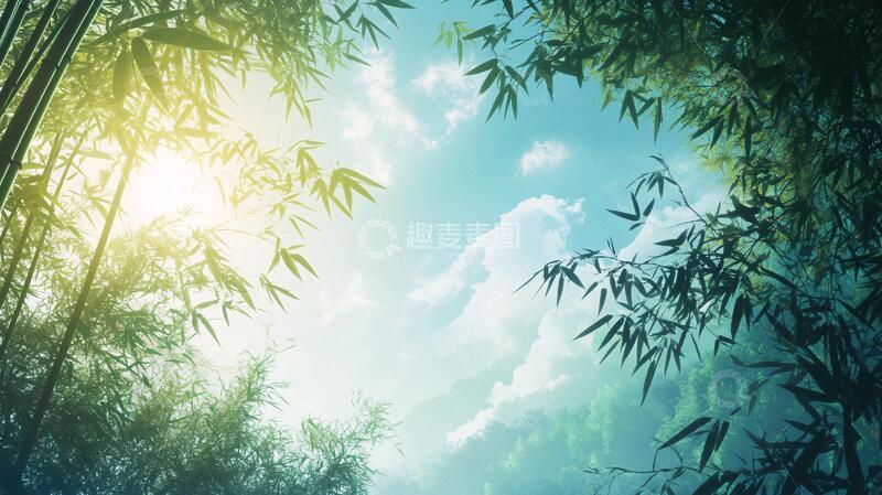 高清大图下载【趣麦麦图】唯美竹影竹韵39
