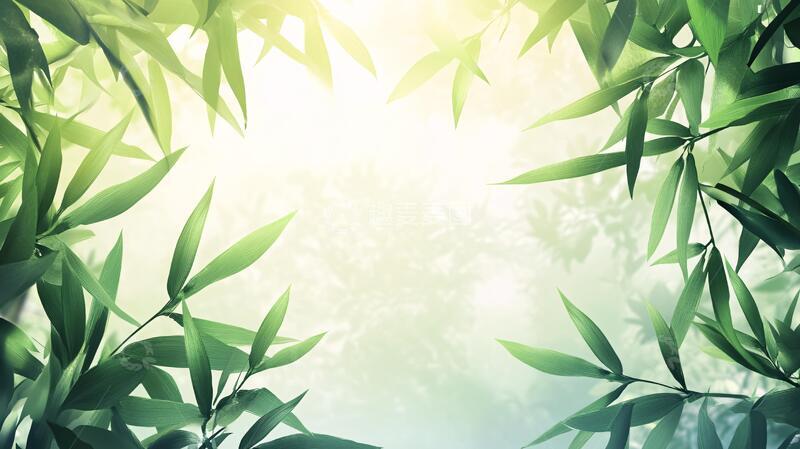 高清大图下载【趣麦麦图】唯美竹叶背景48