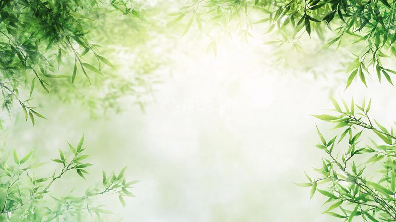 高清大图下载【趣麦麦图】唯美竹叶背景49