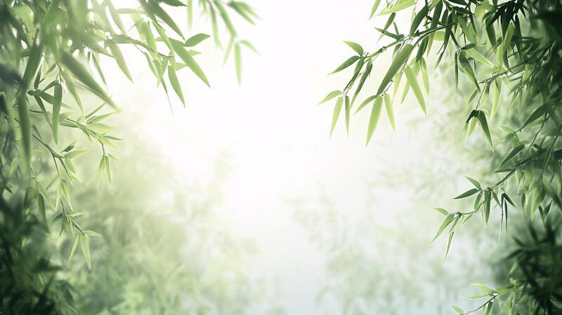 高清大图下载【趣麦麦图】唯美竹叶背景47