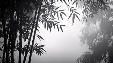 水墨竹林水墨迷雾竹影