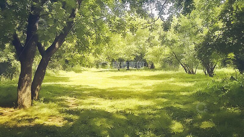高清大图下载【趣麦麦图】阳光小树丛草地树木绿色