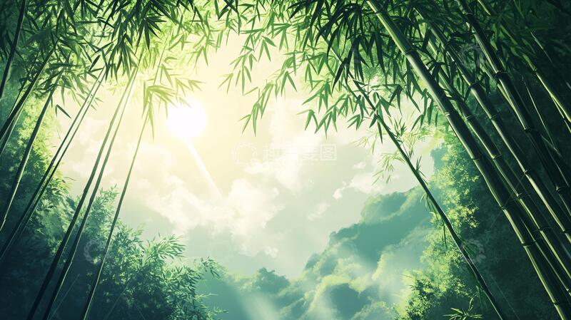 高清大图下载【趣麦麦图】唯美竹影竹韵29
