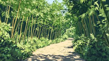 夏日竹林小道