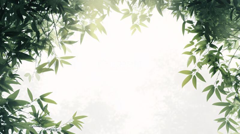 高清大图下载【趣麦麦图】唯美竹叶背景25