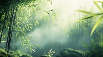 竹林意境图壁纸意境绿色