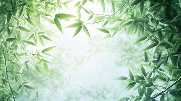 唯美竹叶背景45