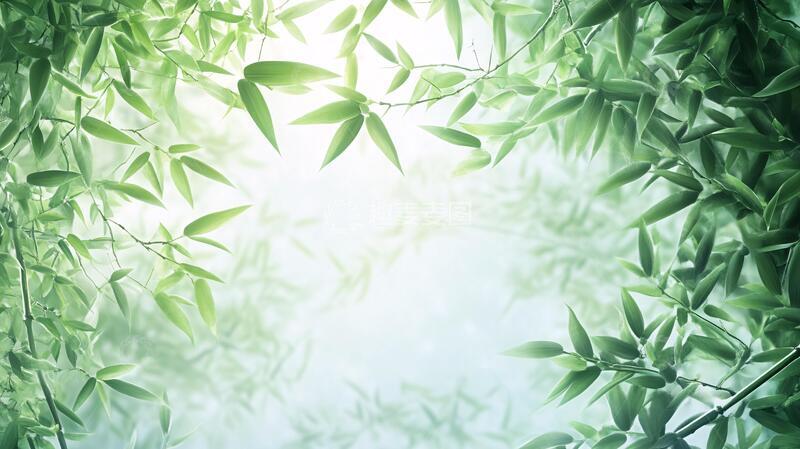 高清大图下载【趣麦麦图】唯美竹叶背景45