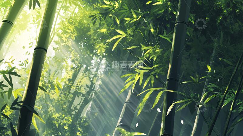 高清大图下载【趣麦麦图】唯美竹影竹韵25