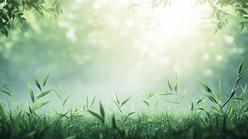 高清大图下载【趣麦麦图】唯美竹叶背景46