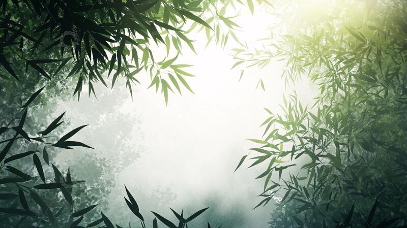 高清大图下载【趣麦麦图】唯美竹影竹韵16