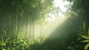 竹林意境图背景意境素材