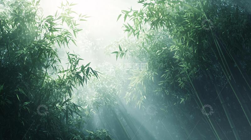 高清大图下载【趣麦麦图】梦幻竹林竹影光影梦幻