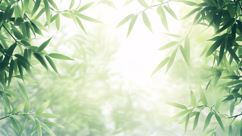 高清大图下载【趣麦麦图】唯美竹叶背景27