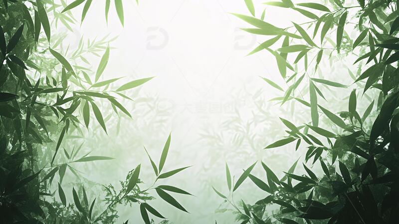 高清大图下载【趣麦麦图】唯美竹叶背景37